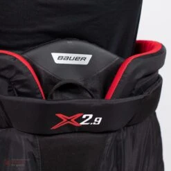 Bauer Vapor X2.9 Senior Goalie Pants -Bauer Sale Store bauer goalie pants bauer vapor x2 9 senior goalie pants 5496832557122